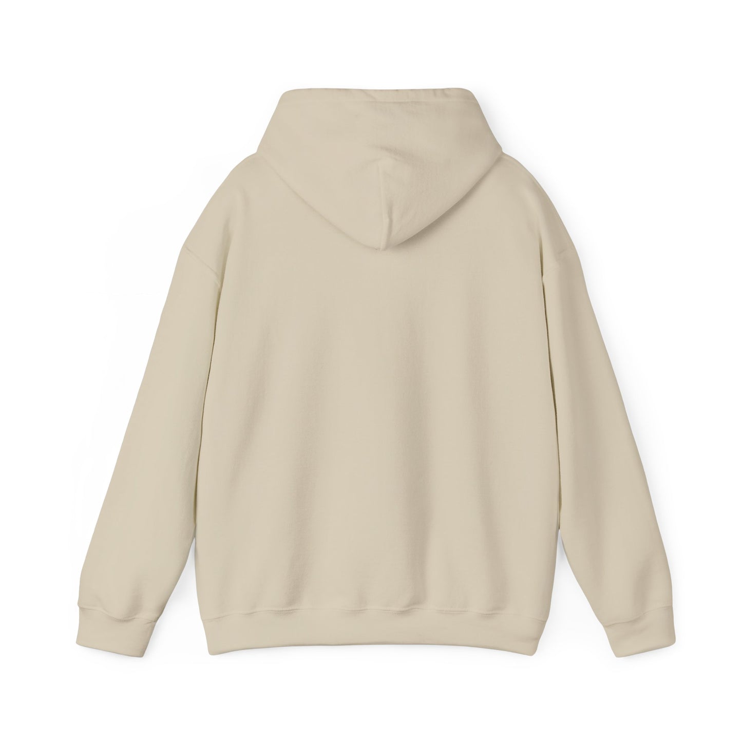 Unisex Simplicity Hoodie