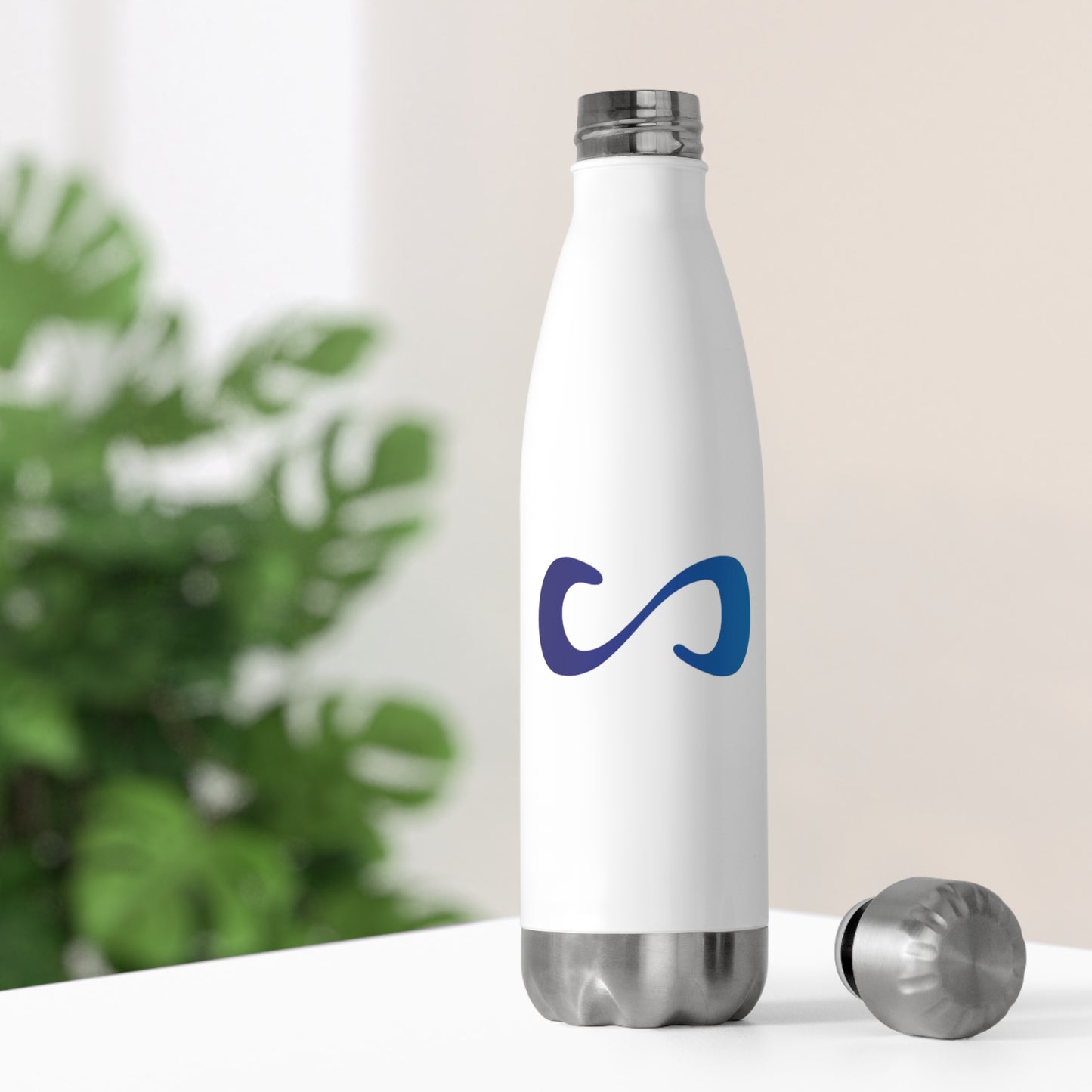 Insulated Water Bottle