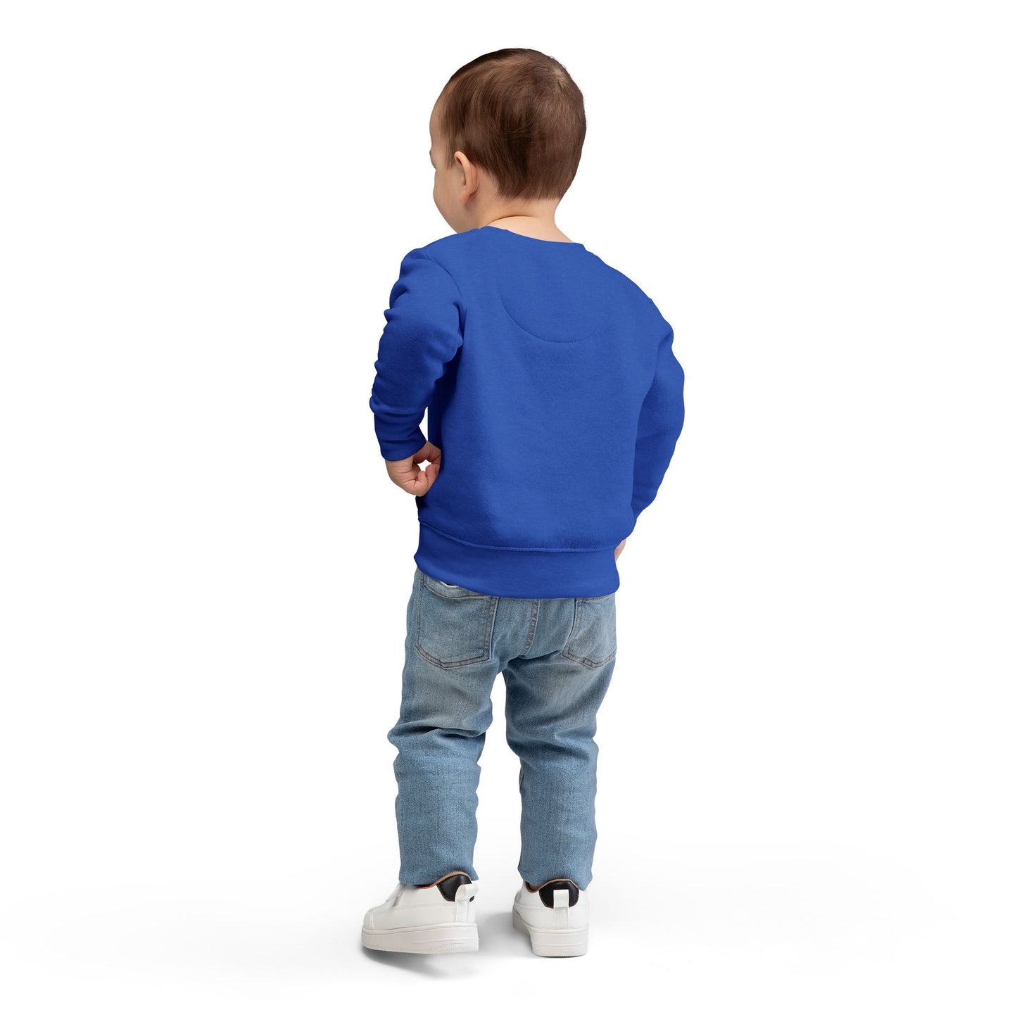 Toddler's Simplicity Sweatshirt