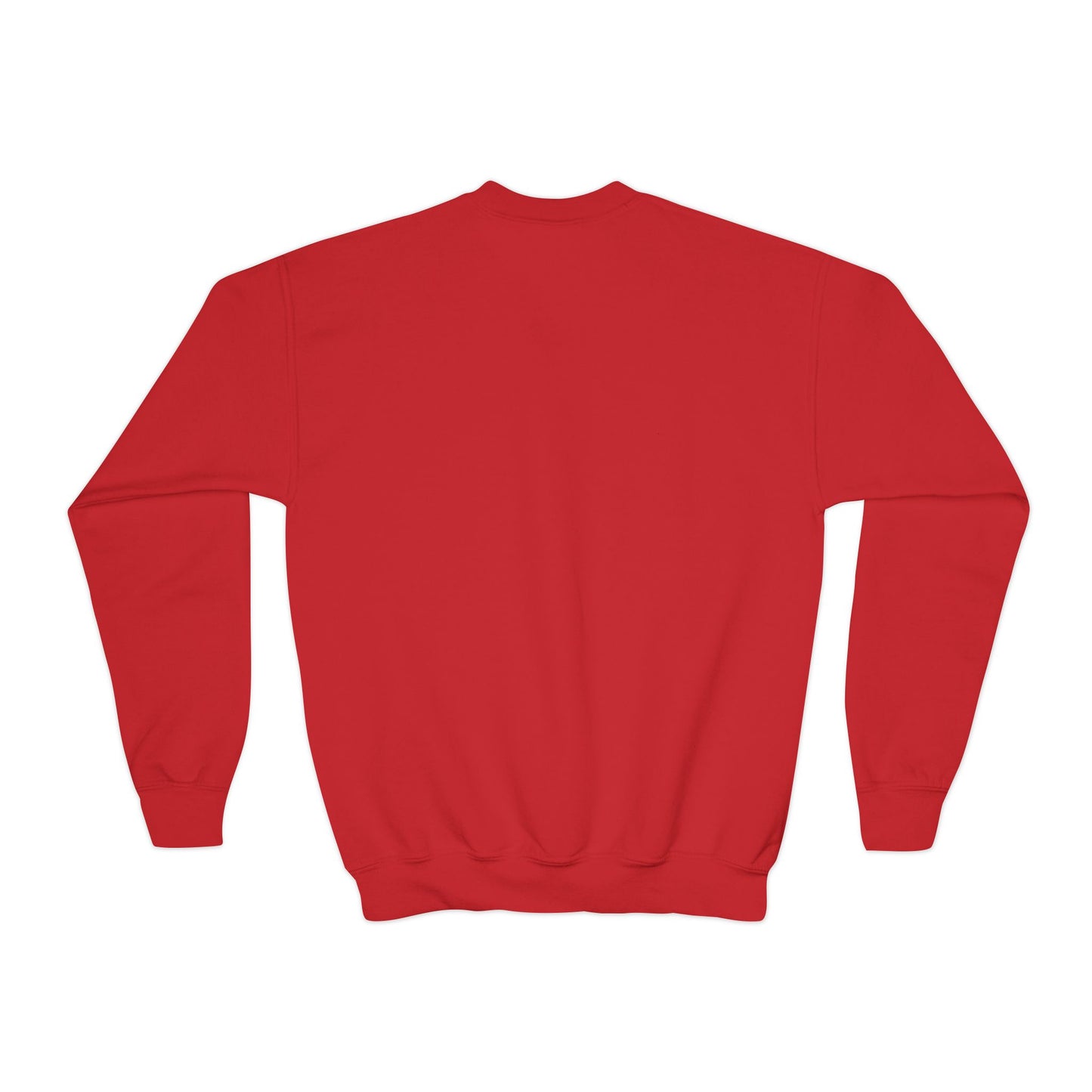 Kid's Embroidered Sweatshirt