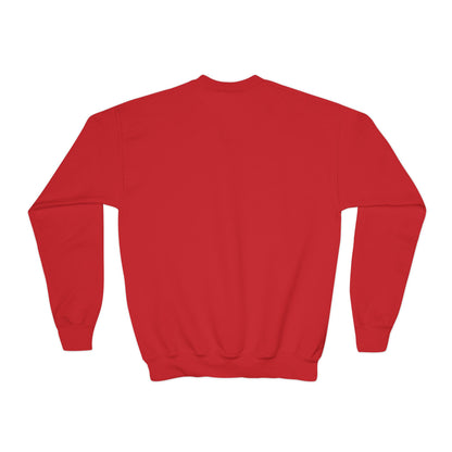 Kid's Embroidered Sweatshirt