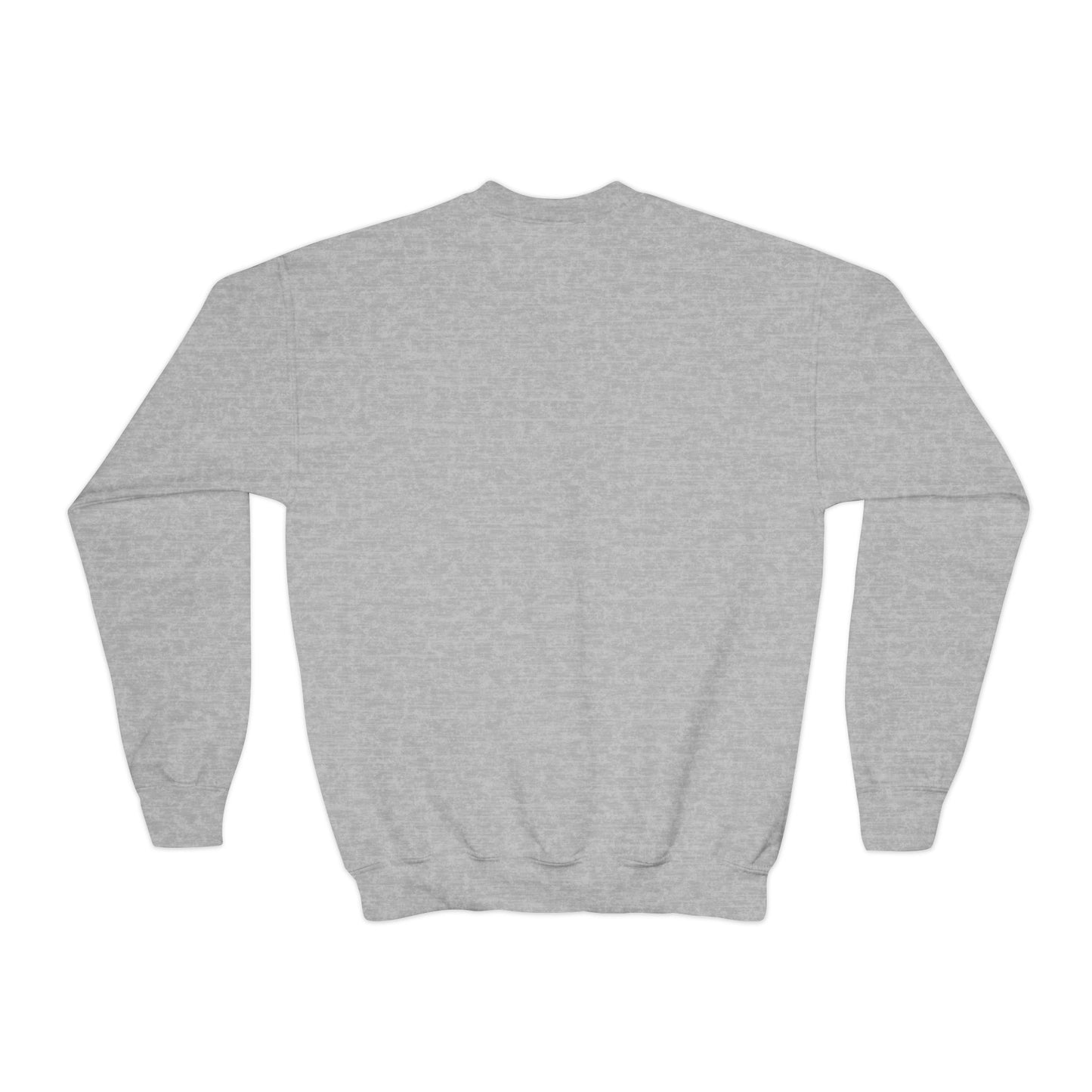 Kid's Embroidered Sweatshirt