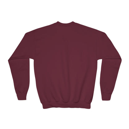 Kid's Embroidered Sweatshirt