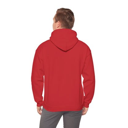Unisex Simplicity Hoodie