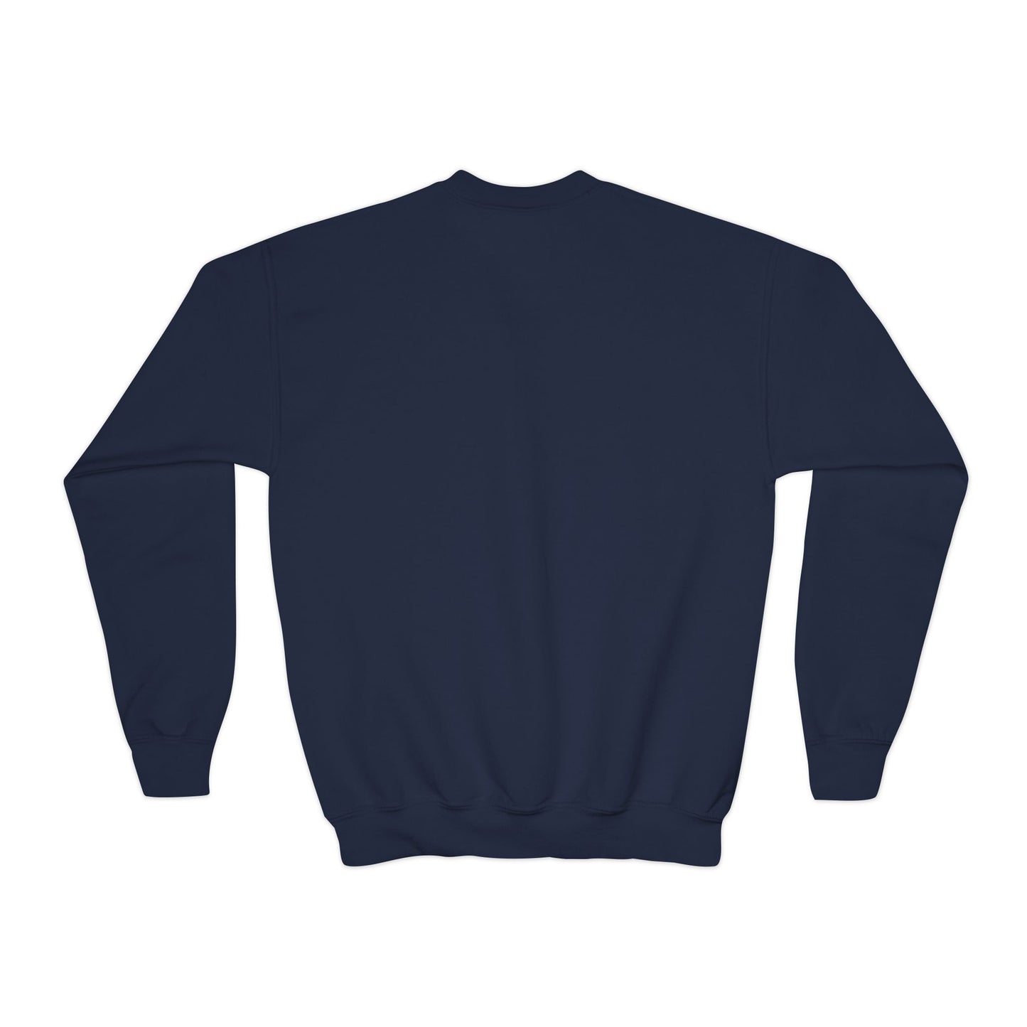 Kid's Embroidered Sweatshirt