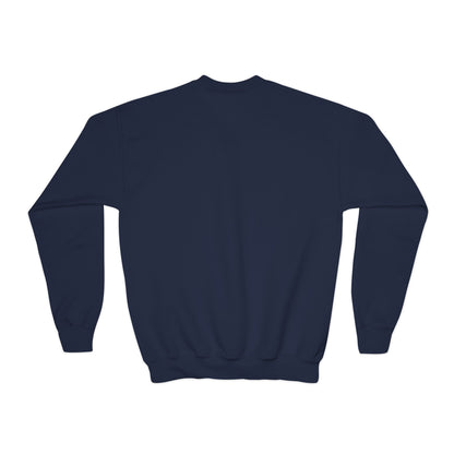 Kid's Embroidered Sweatshirt