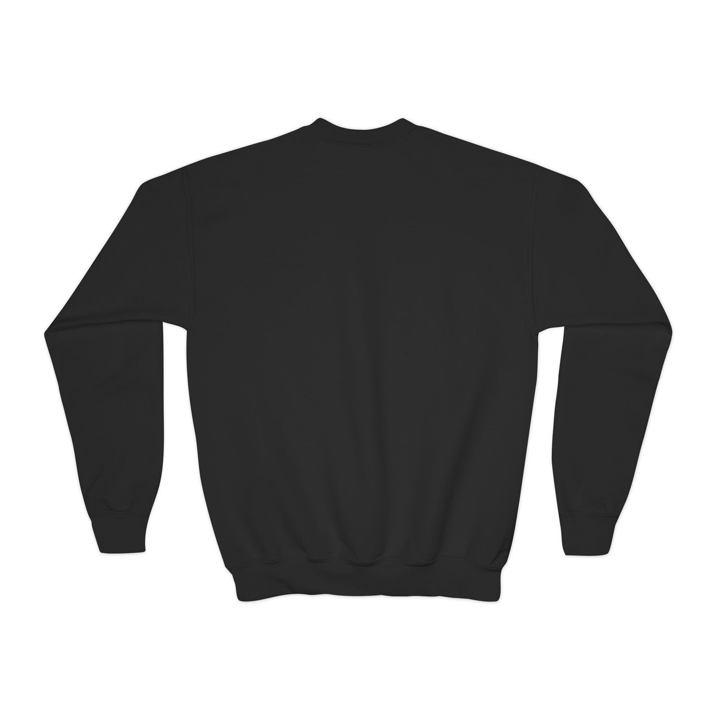 Kid's Embroidered Sweatshirt