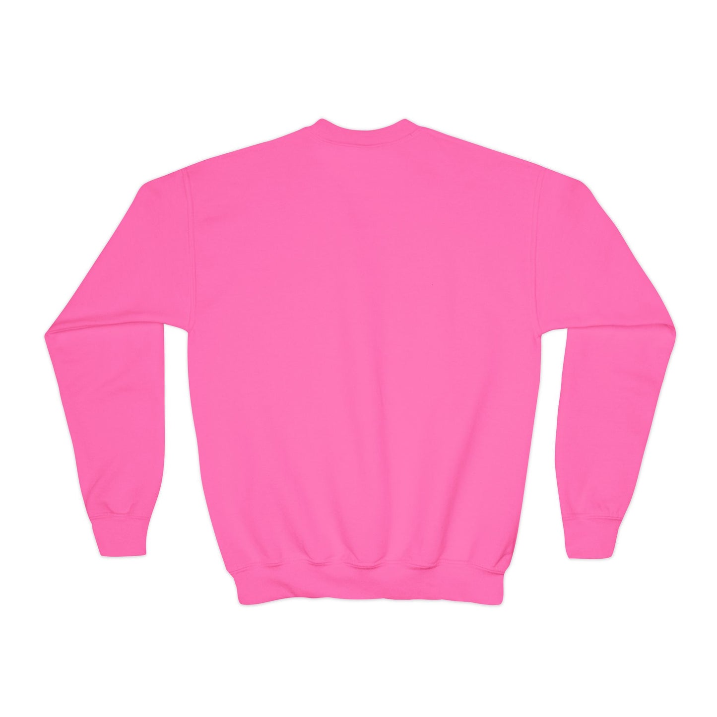 Kid's Embroidered Sweatshirt