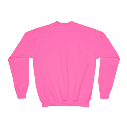 Kid's Embroidered Sweatshirt