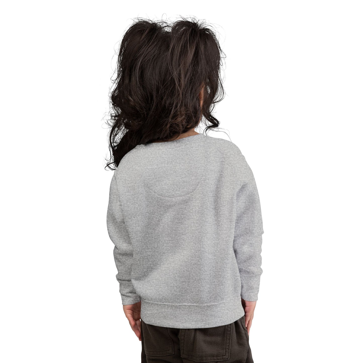 Toddler's Simplicity Sweatshirt