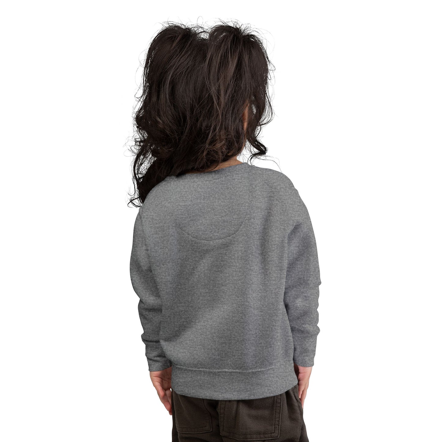 Toddler's Simplicity Sweatshirt