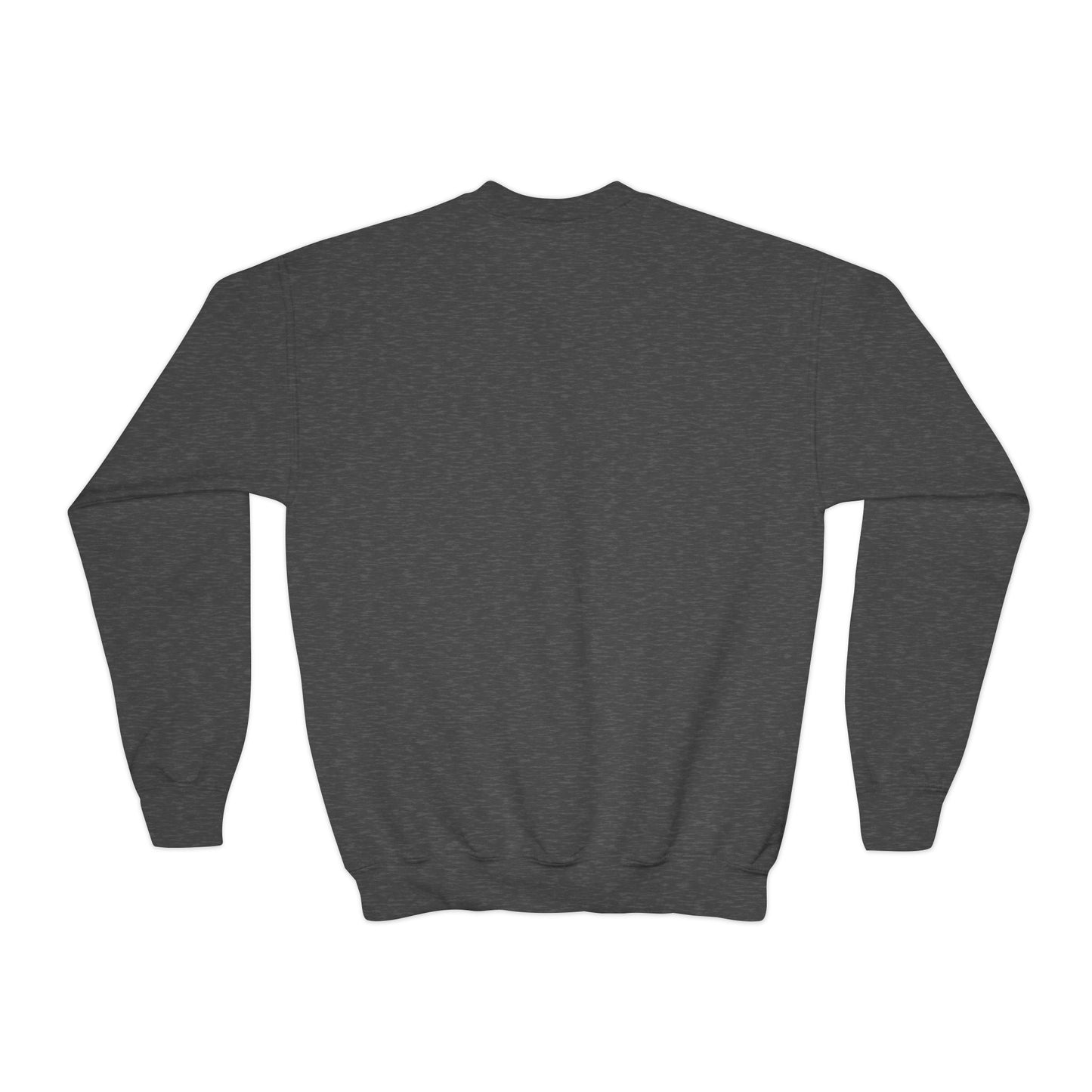 Kid's Embroidered Sweatshirt