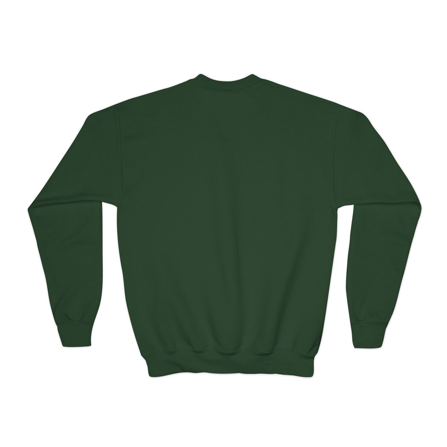 Kid's Embroidered Sweatshirt