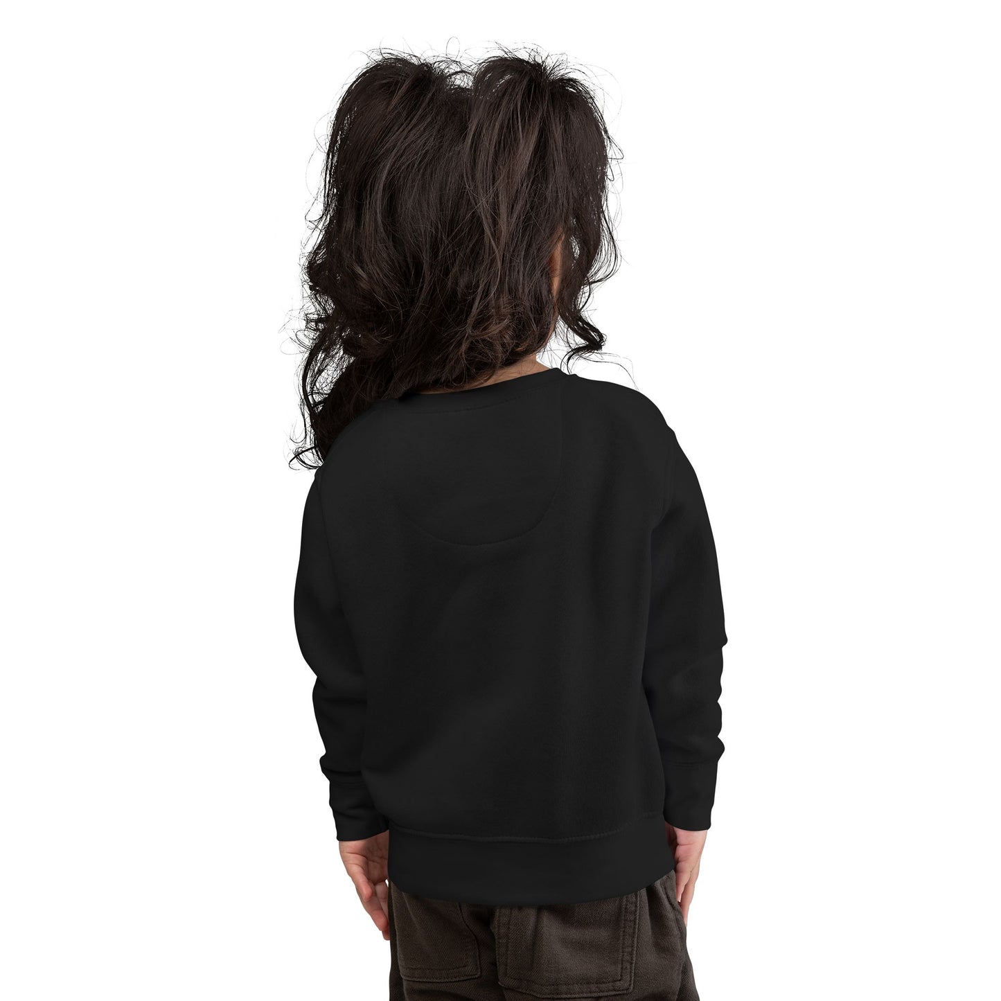 Toddler's Simplicity Sweatshirt