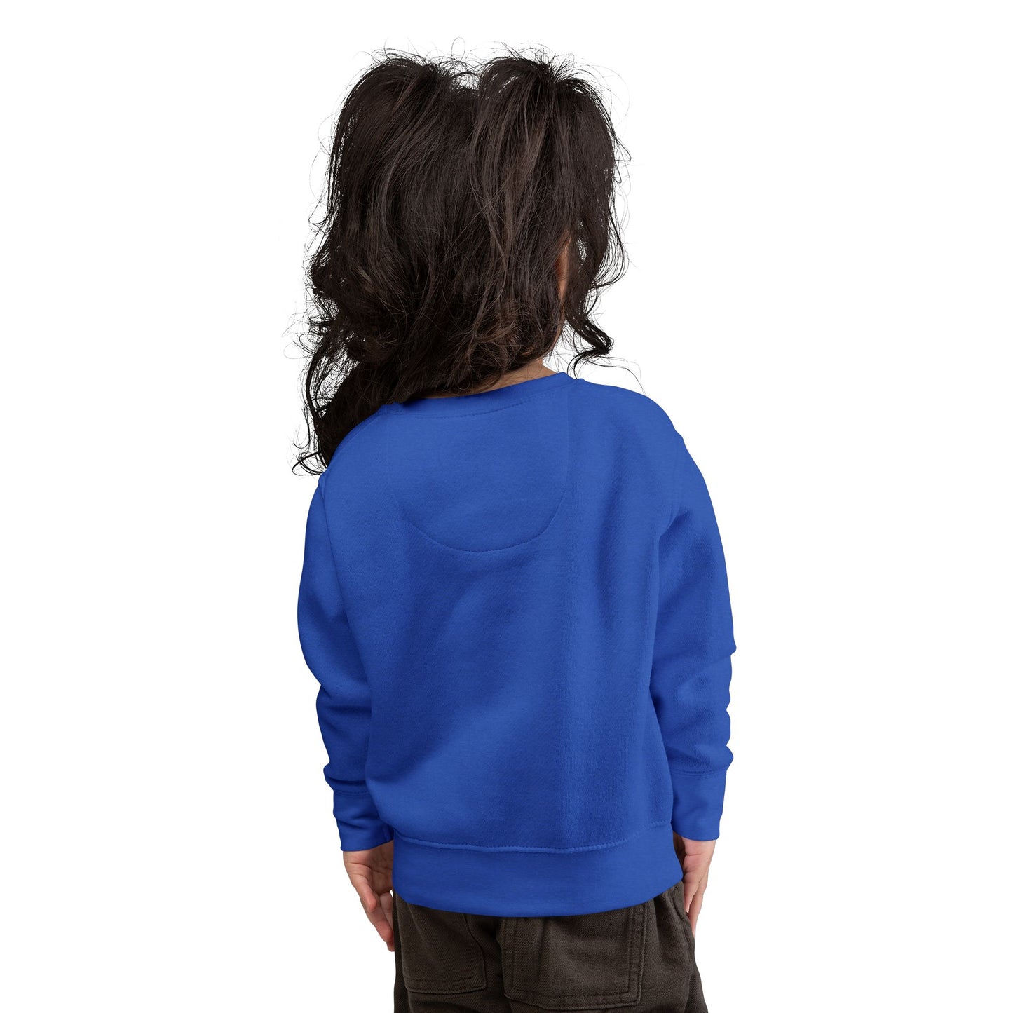 Toddler's Simplicity Sweatshirt